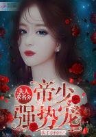 帝少强势宠:夫人,求名分